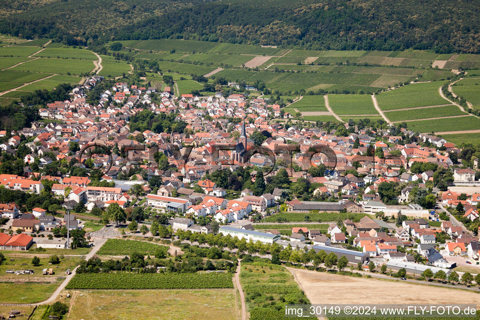 Deidesheim im Bundesland Rheinland-Pfalz, Deutschland vom Flugzeug aus