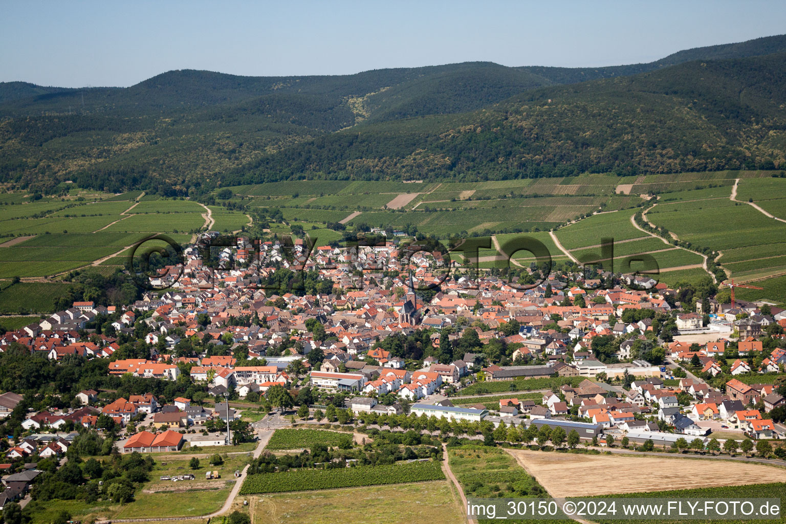 Ortsansicht der Straßen und Häuser der Wohngebiete in Deidesheim im Bundesland Rheinland-Pfalz, Deutschland