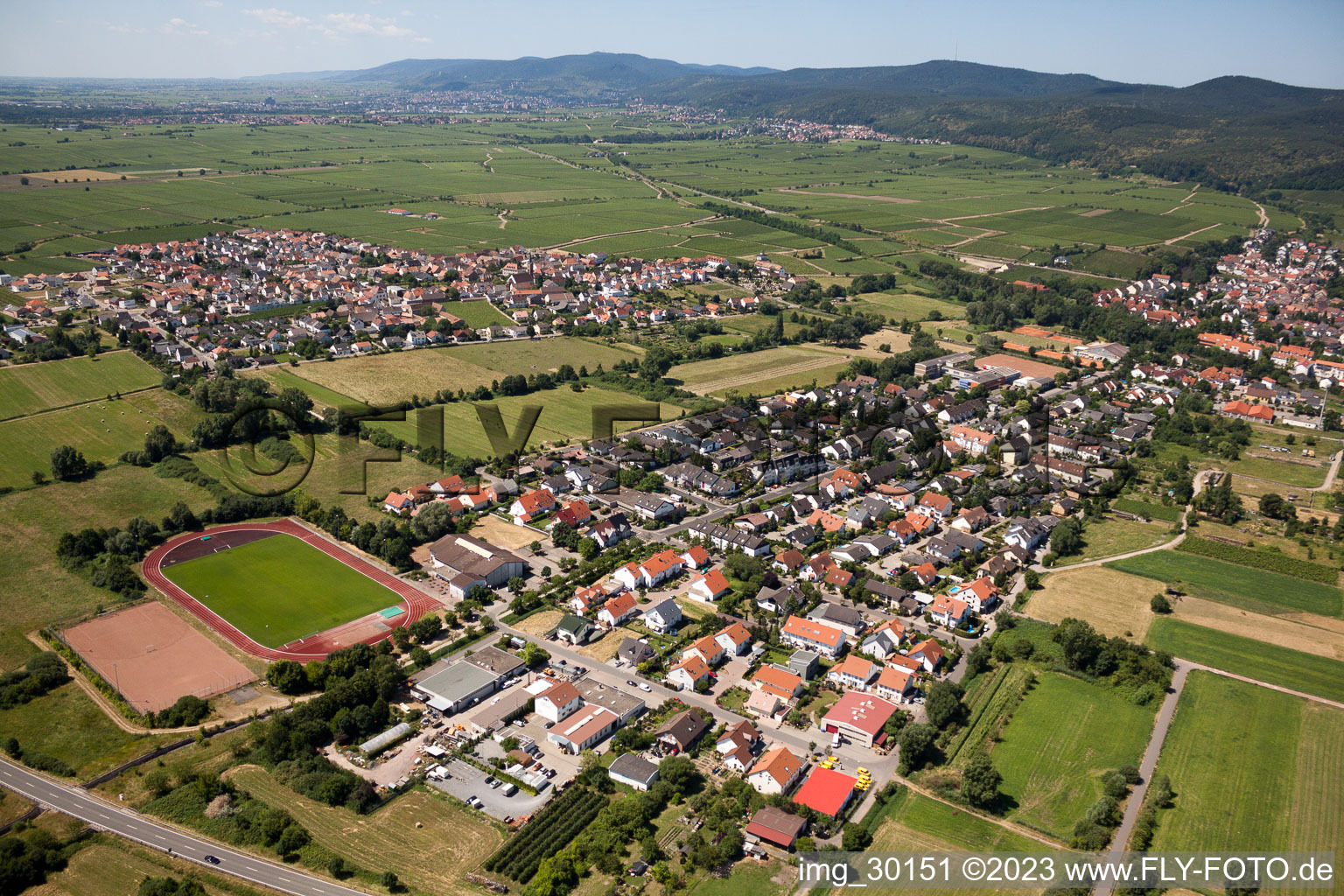 Deidesheim im Bundesland Rheinland-Pfalz, Deutschland aus der Vogelperspektive