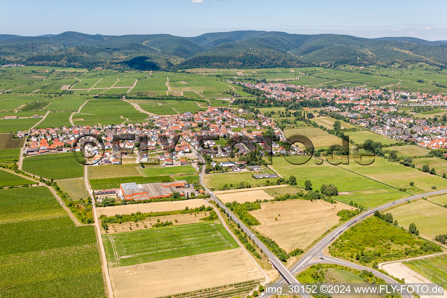 Dorf - Ansicht am Rande von landwirtschaftlichen Feldern und Nutzflächen in Ruppertsberg im Bundesland Rheinland-Pfalz, Deutschland