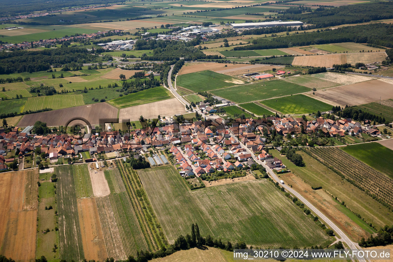 Schrägluftbild von Von Norden in Erlenbach bei Kandel im Bundesland Rheinland-Pfalz, Deutschland
