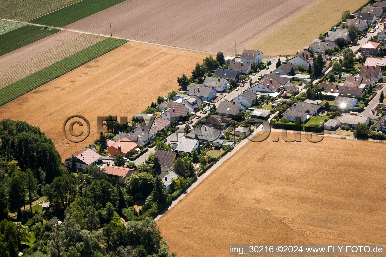 Luftbild von Waldstr in Erlenbach bei Kandel im Bundesland Rheinland-Pfalz, Deutschland