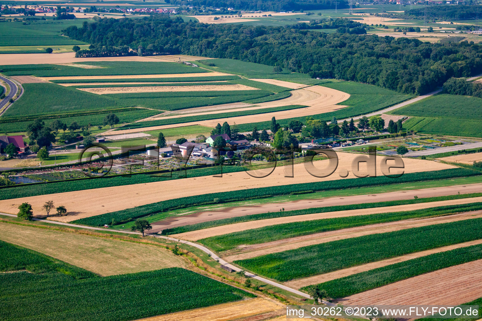 Gartenzeiten Schwarz im Ortsteil Bodersweier in Kehl im Bundesland Baden-Württemberg, Deutschland aus der Drohnenperspektive