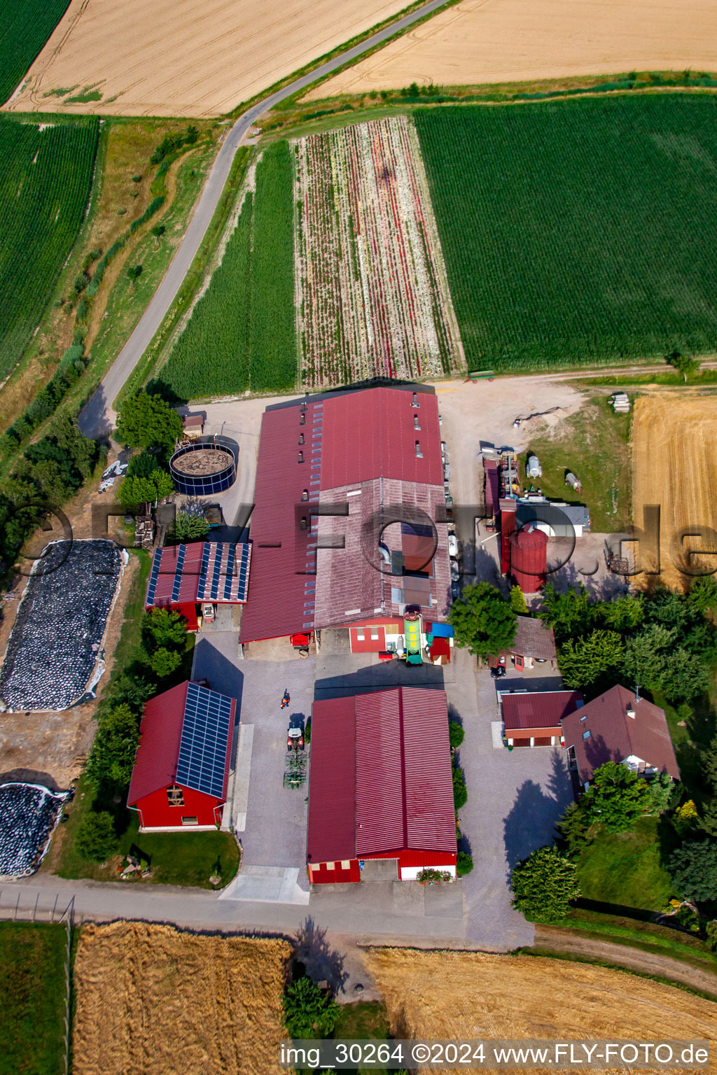 Schrägluftbild von Hansjörg Körkel & Cornelia Will-Körkel Kirschhof im Ortsteil Bodersweier in Kehl im Bundesland Baden-Württemberg, Deutschland