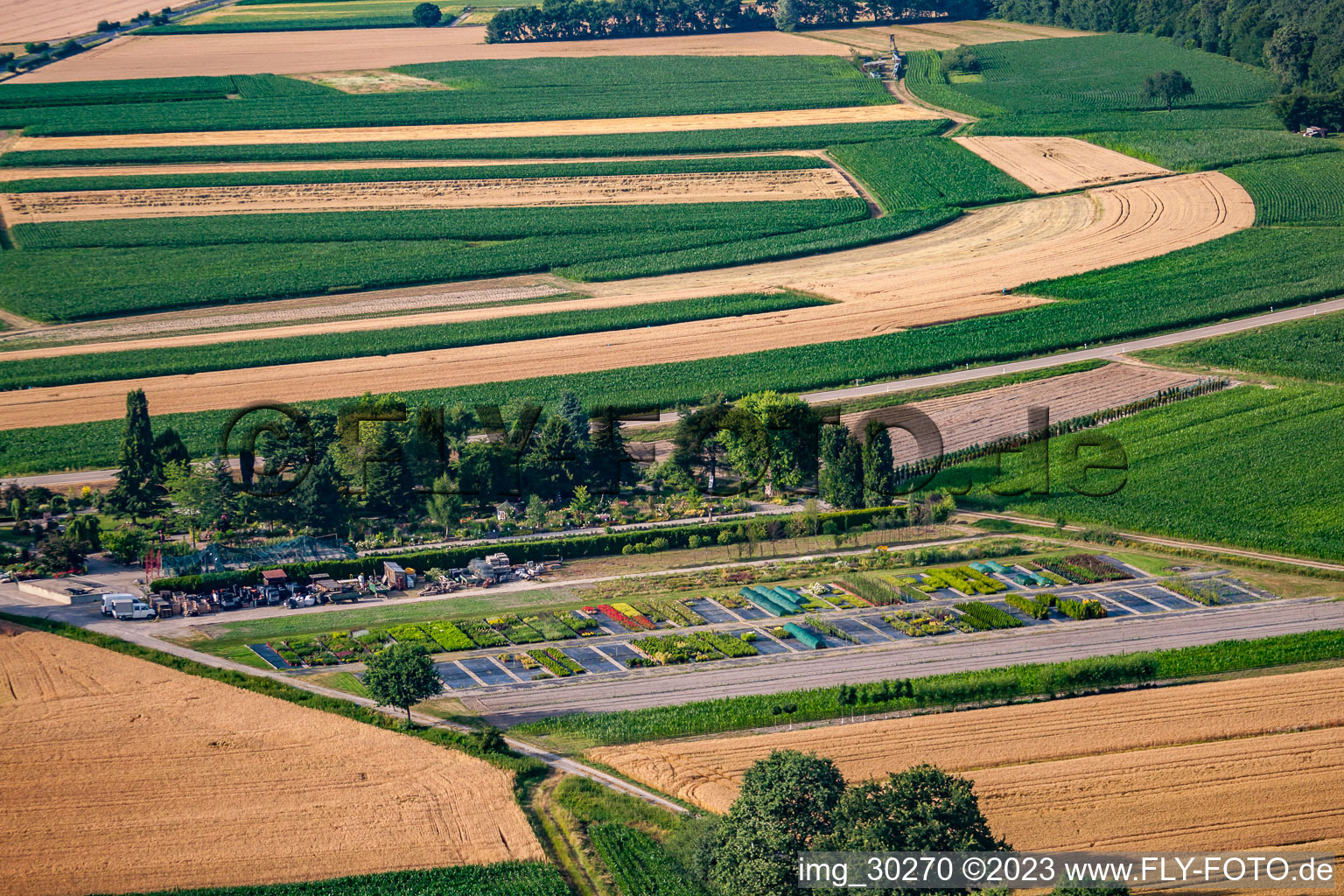 Gartenzeiten Schwarz im Ortsteil Bodersweier in Kehl im Bundesland Baden-Württemberg, Deutschland von der Drohne aus gesehen