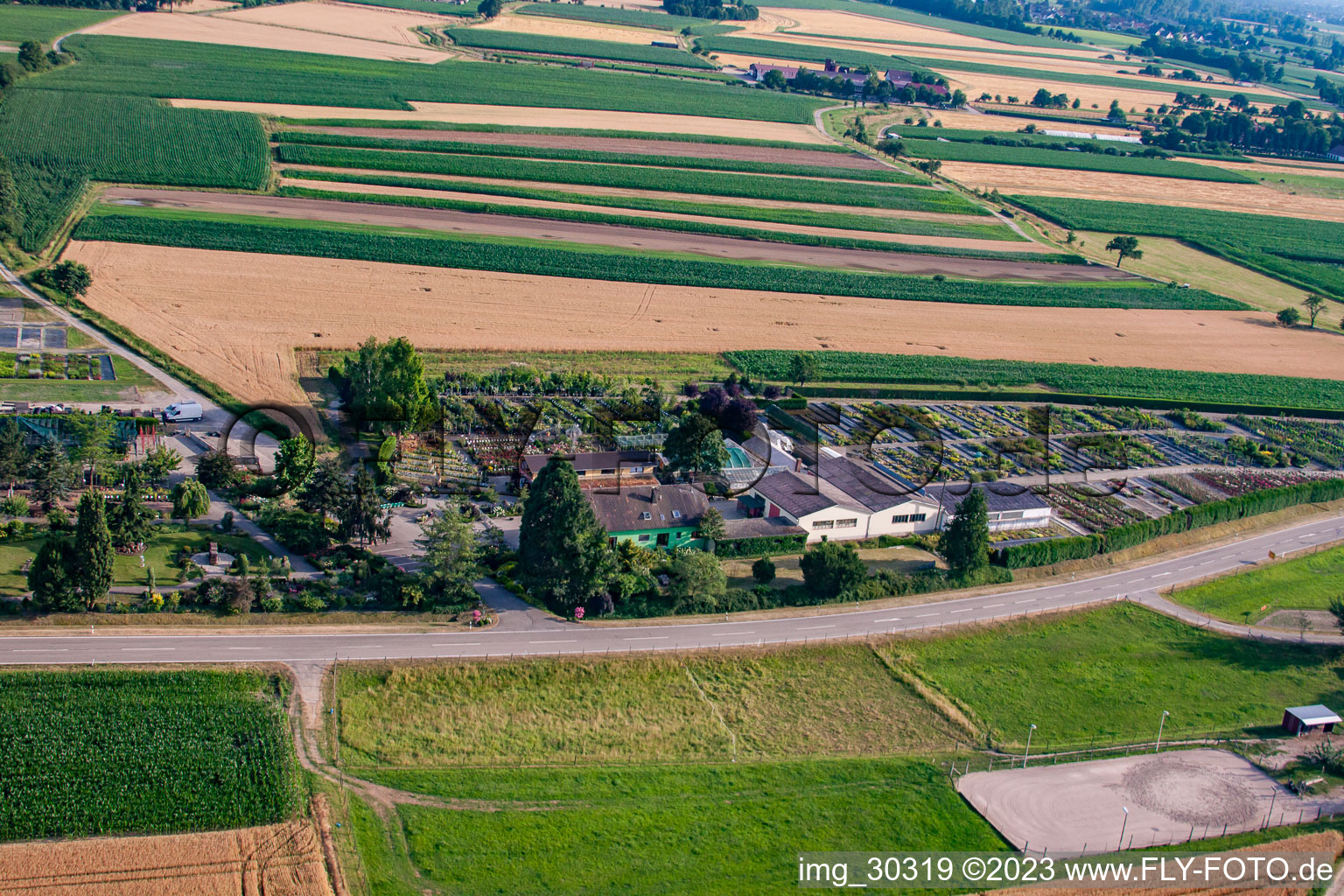 Gartenzeiten Schwarz im Ortsteil Bodersweier in Kehl im Bundesland Baden-Württemberg, Deutschland aus der Luft betrachtet