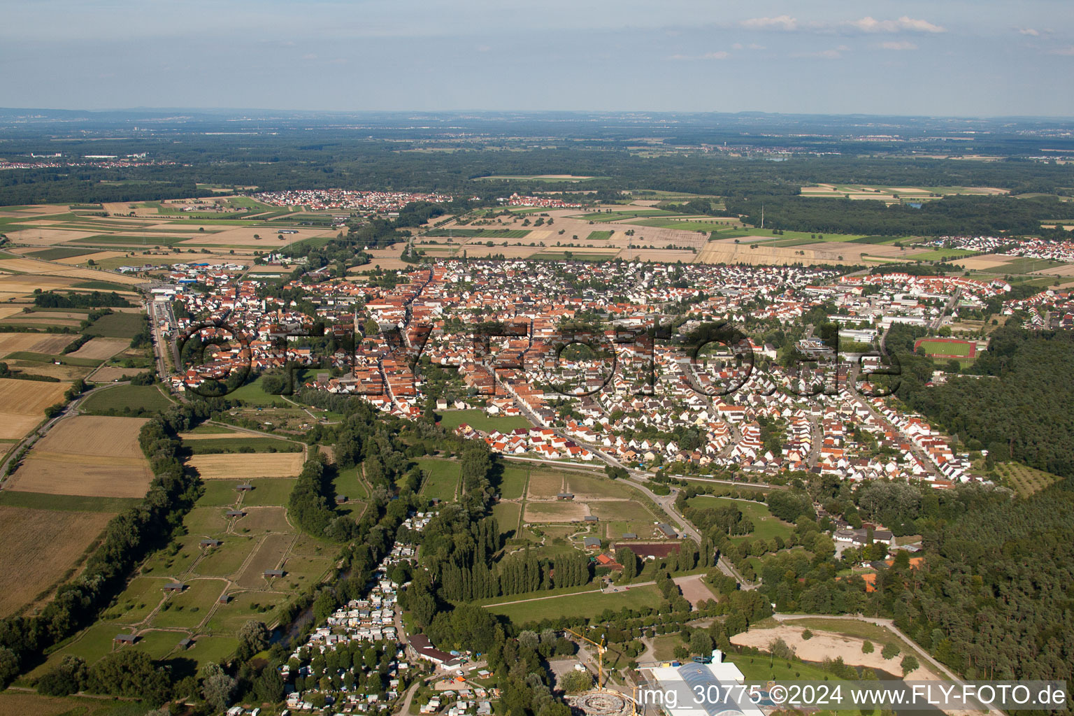 Dorf - Ansicht am Rande von landwirtschaftlichen Feldern und Nutzflächen in Rülzheim im Bundesland Rheinland-Pfalz, Deutschland