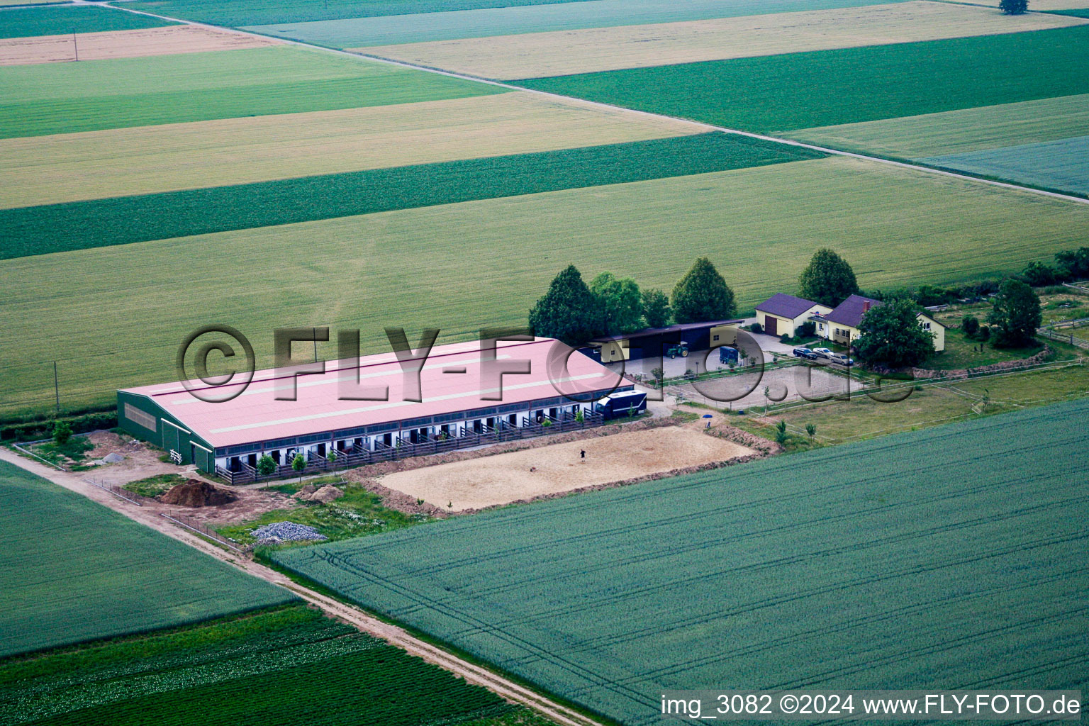 Steinweiler, Pferdehof im Bundesland Rheinland-Pfalz, Deutschland