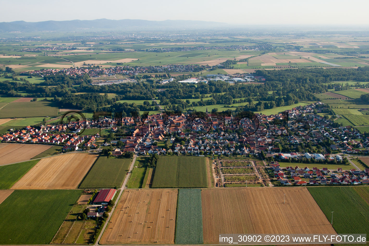 Steinweiler, von Süden im Bundesland Rheinland-Pfalz, Deutschland
