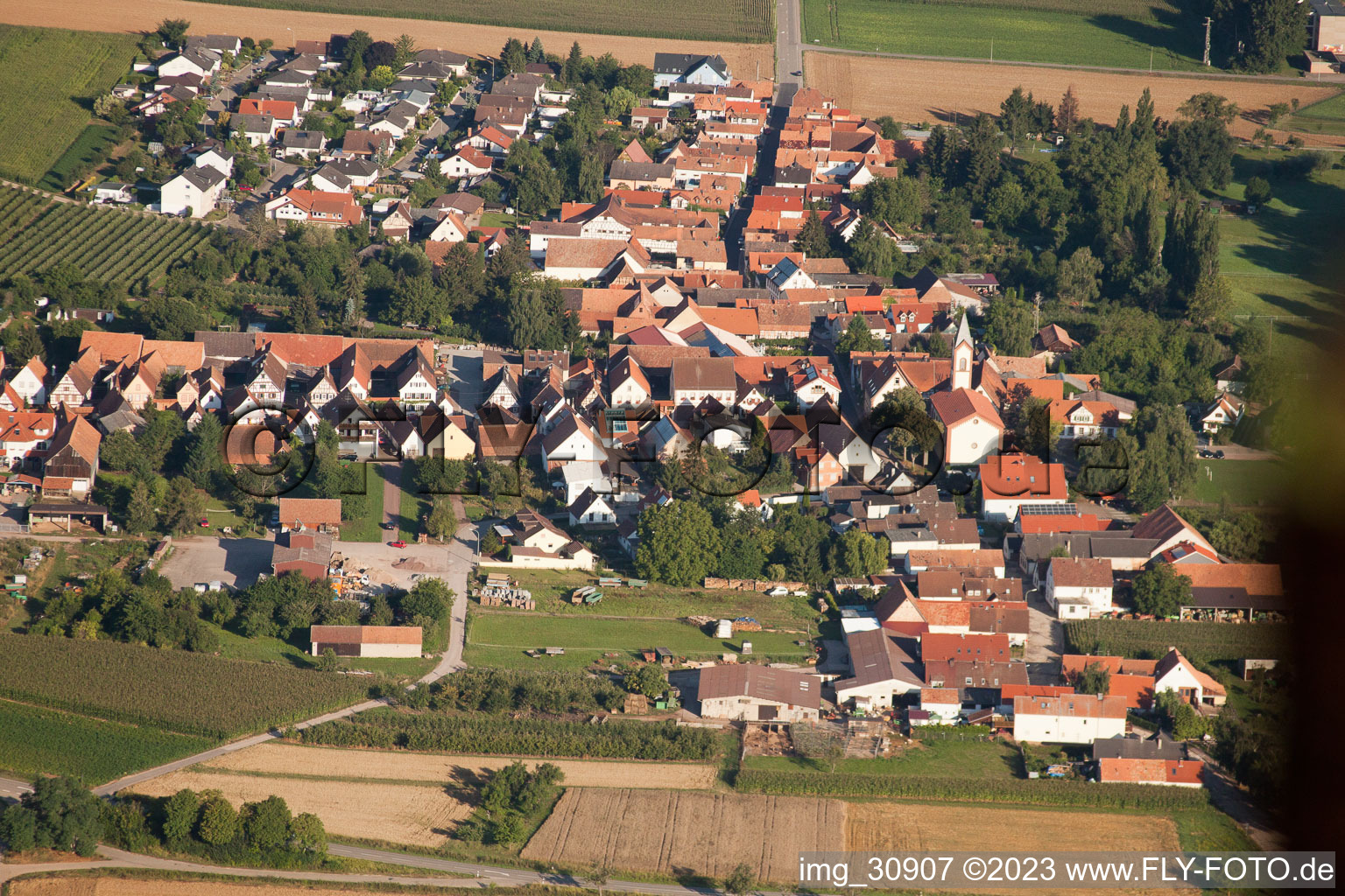 Ortsteil Mühlhofen in Billigheim-Ingenheim im Bundesland Rheinland-Pfalz, Deutschland vom Flugzeug aus