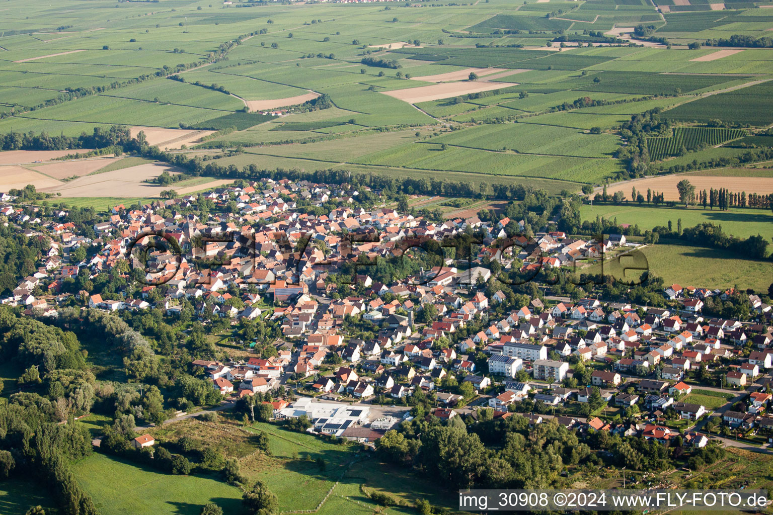 Ortsansicht von Süden im Ortsteil Billigheim in Billigheim-Ingenheim im Bundesland Rheinland-Pfalz, Deutschland