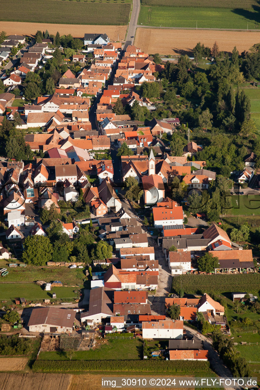 Schrägluftbild von Ortsansicht der Straßen und Häuser der Wohngebiete im Ortsteil Mühlhofen in Billigheim-Ingenheim im Bundesland Rheinland-Pfalz, Deutschland