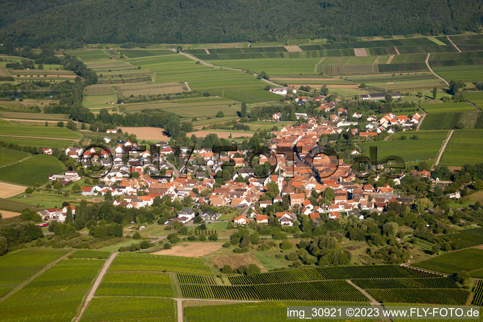 Göcklingen im Bundesland Rheinland-Pfalz, Deutschland aus der Luft betrachtet
