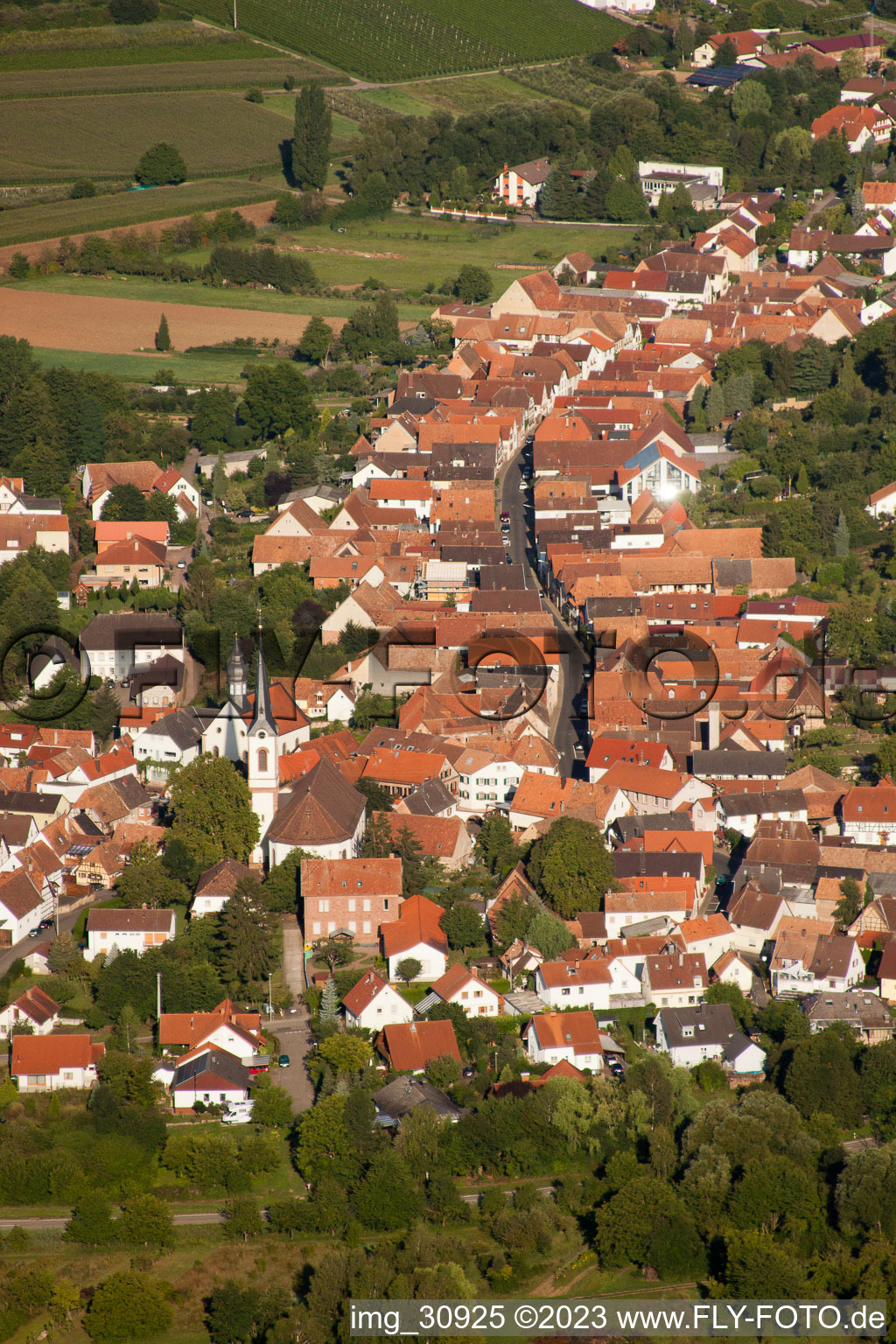 Göcklingen im Bundesland Rheinland-Pfalz, Deutschland von einer Drohne aus