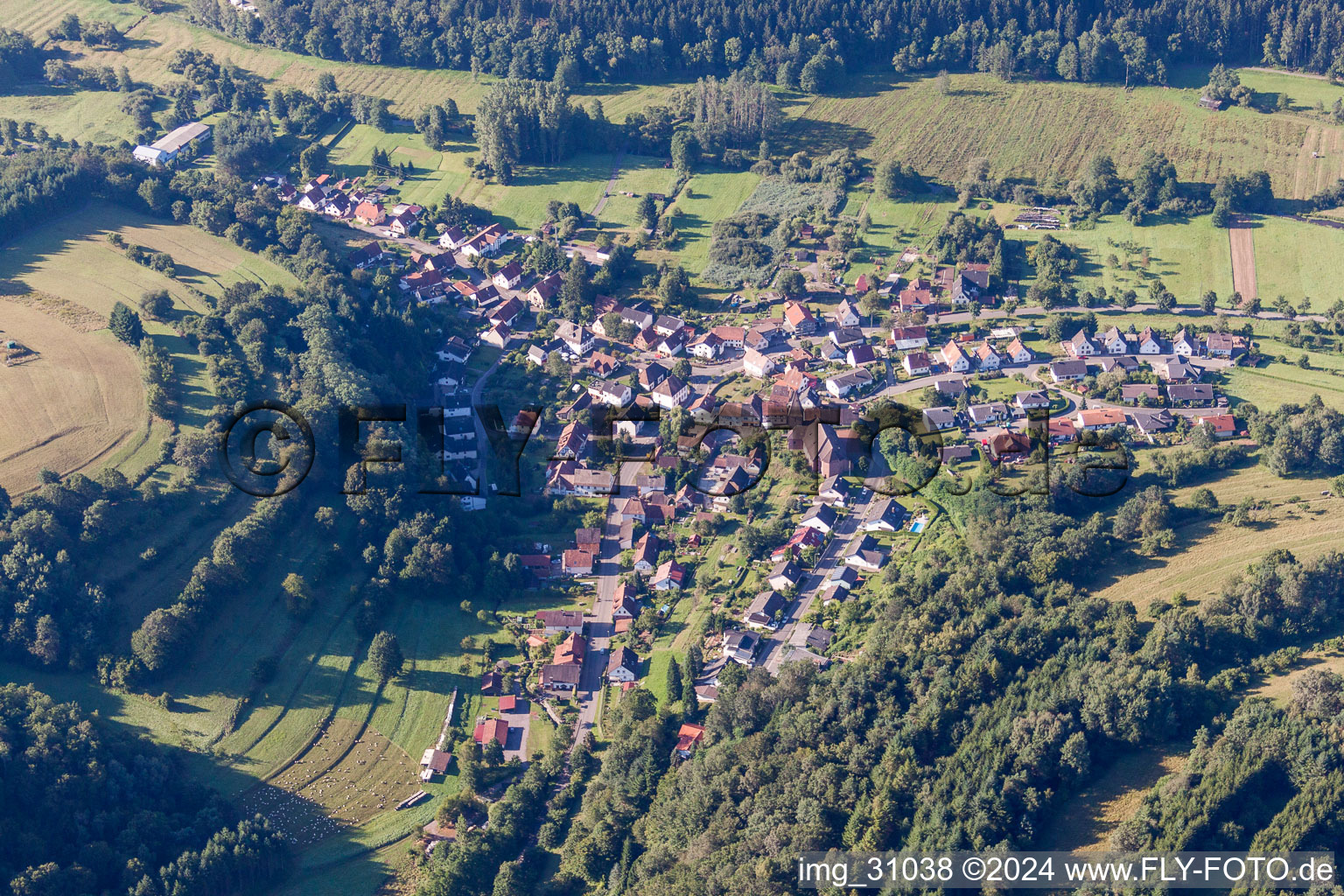 Luftbild von Dorf - Ansicht am Rande von landwirtschaftlichen Feldern und Nutzflächen in Niederschlettenbach im Bundesland Rheinland-Pfalz, Deutschland