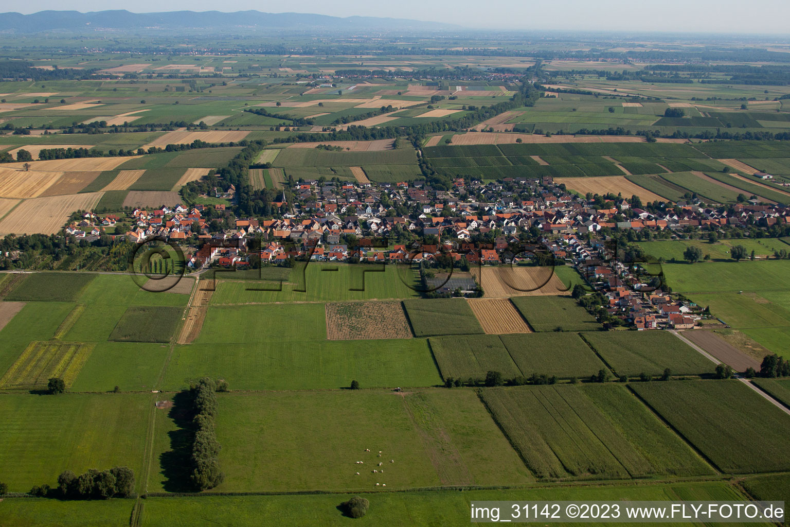 Luftbild von Freckenfeld im Bundesland Rheinland-Pfalz, Deutschland