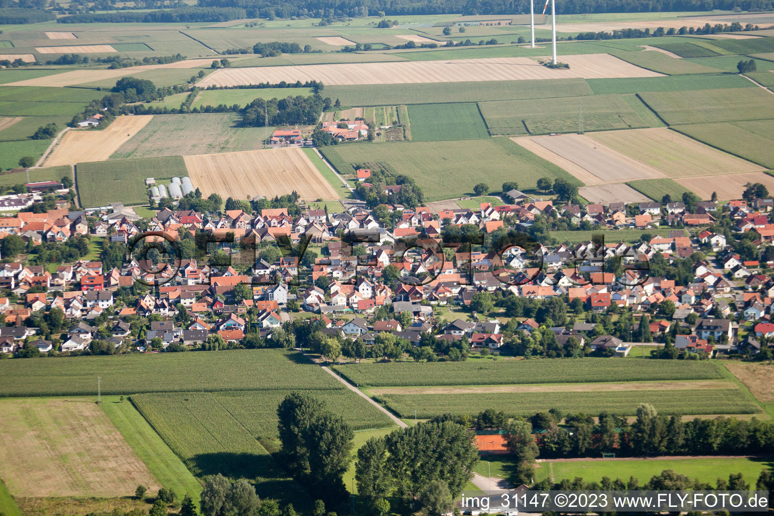 Luftbild von Minfeld von Süden im Bundesland Rheinland-Pfalz, Deutschland