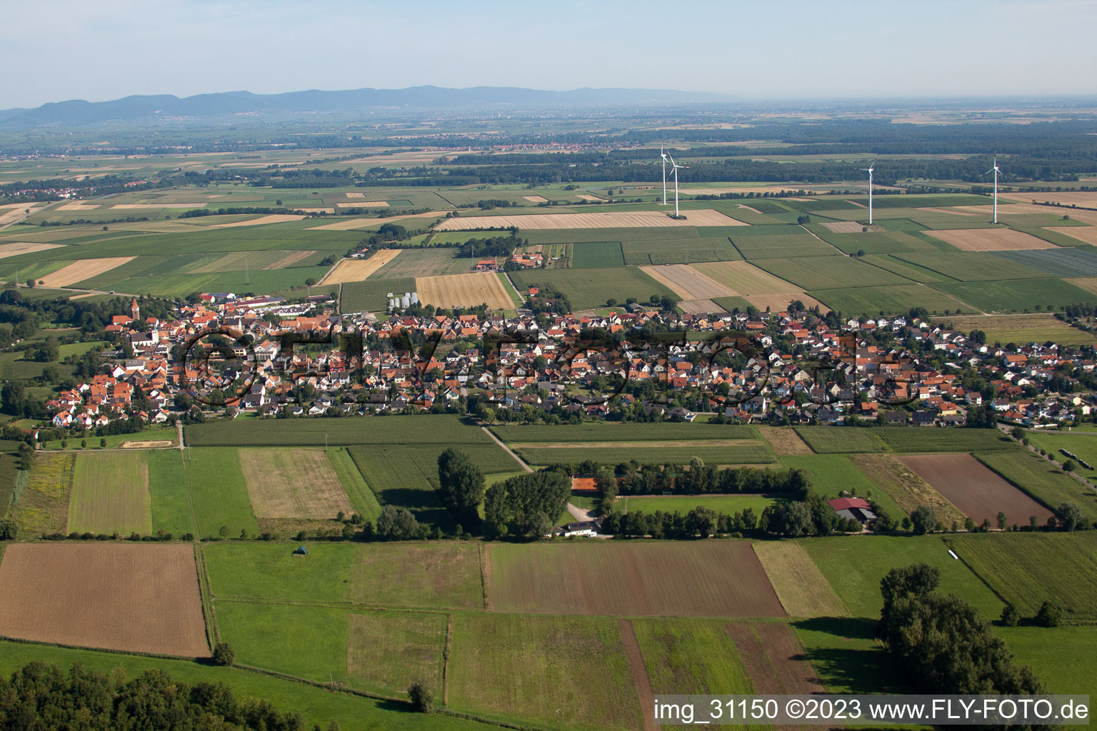 Minfeld von Süden im Bundesland Rheinland-Pfalz, Deutschland von oben