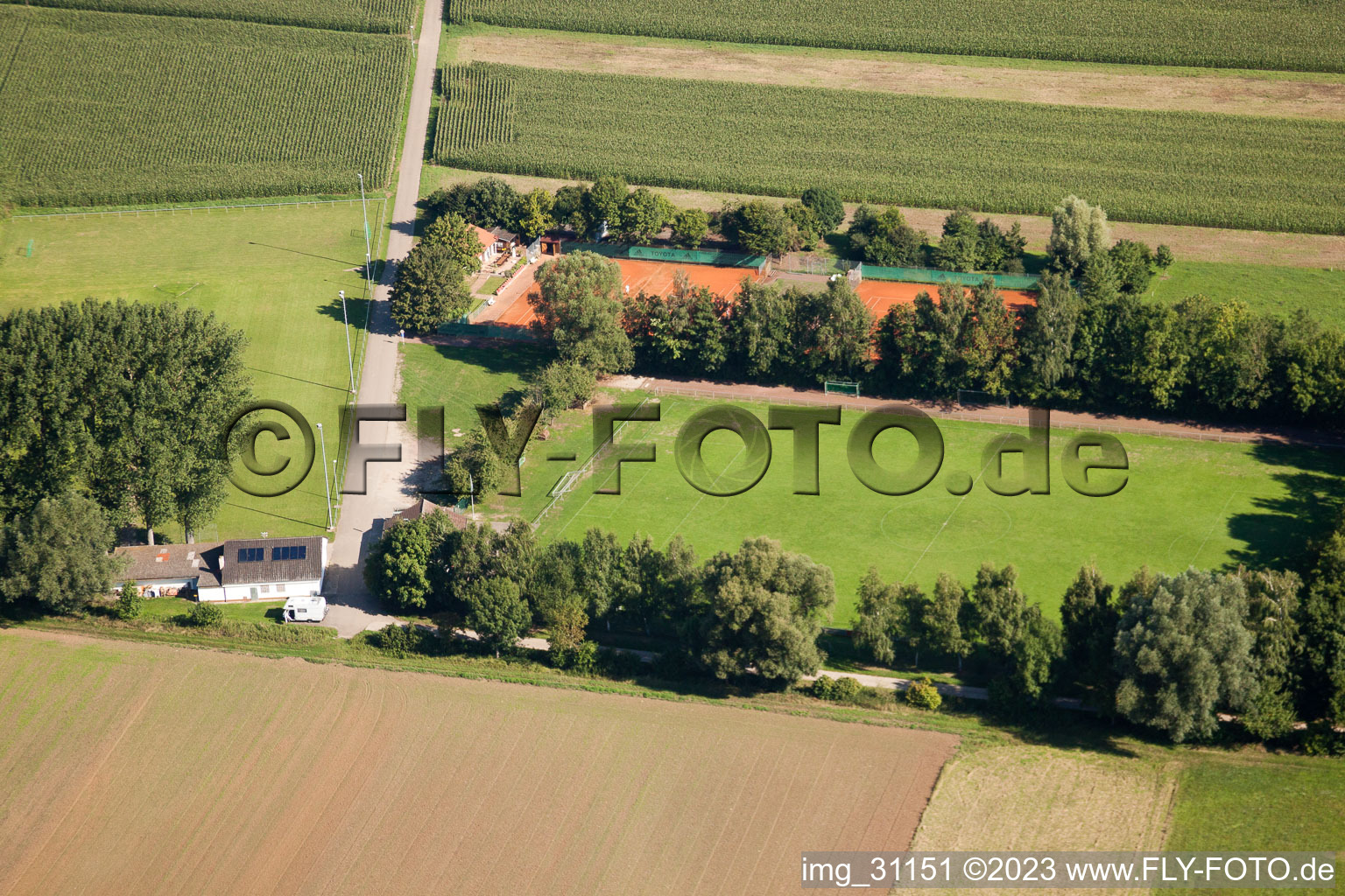 Luftbild von Minfeld, Sportplätze im Bundesland Rheinland-Pfalz, Deutschland