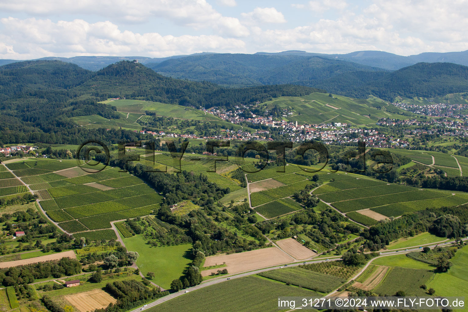 Gallenbach von Nordwesten in Baden-Baden im Bundesland Baden-Württemberg, Deutschland