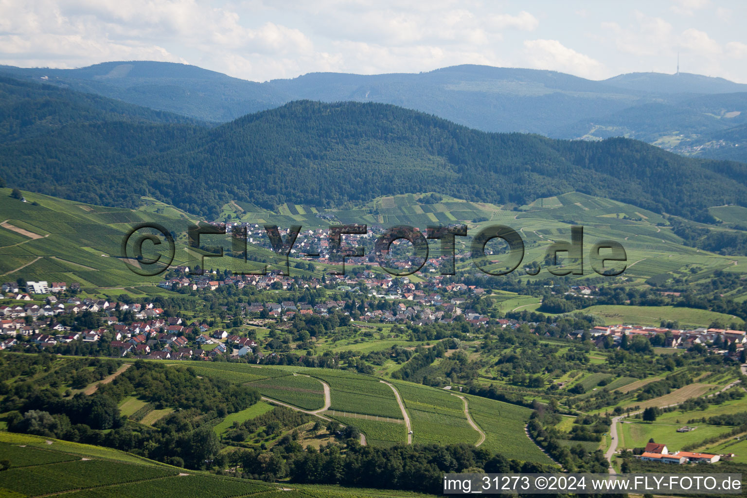 Varnhalt, Neuweier im Ortsteil Steinbach in Baden-Baden im Bundesland Baden-Württemberg, Deutschland