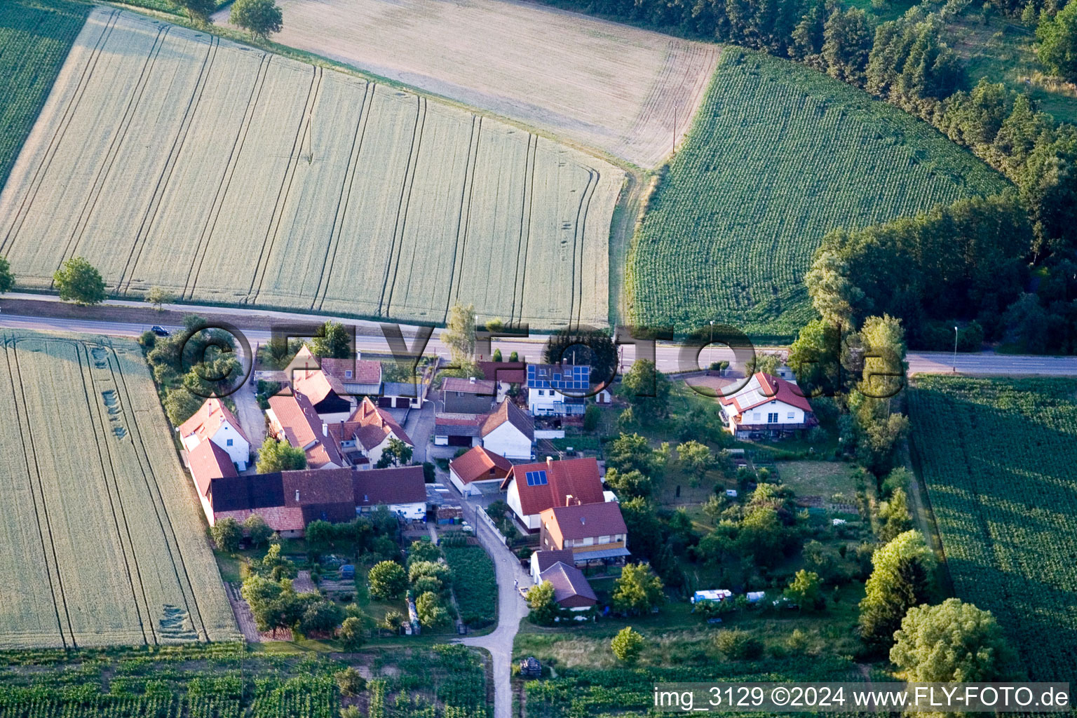 Minfeld, Welschhof im Bundesland Rheinland-Pfalz, Deutschland