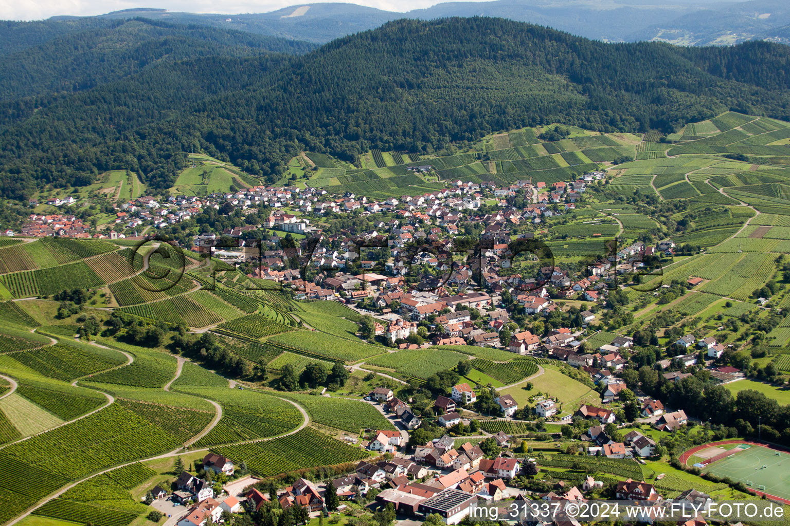 Ortsteil Neuweier in Baden-Baden im Bundesland Baden-Württemberg, Deutschland von oben gesehen