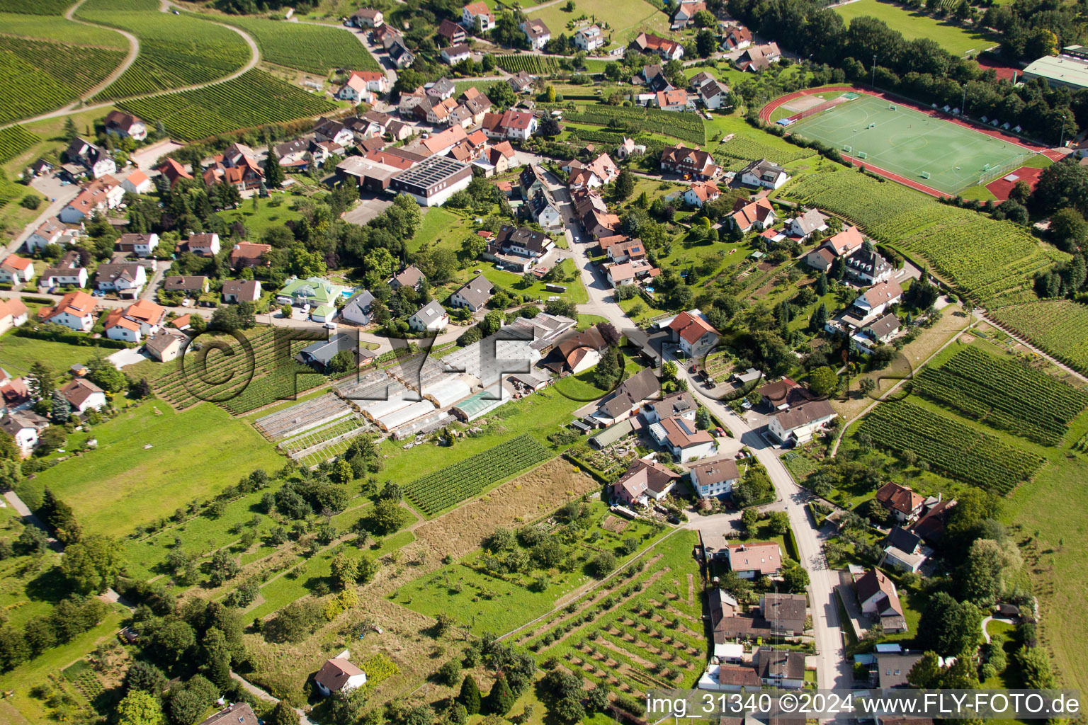 Ortsteil Steinbach in Baden-Baden im Bundesland Baden-Württemberg, Deutschland von oben gesehen