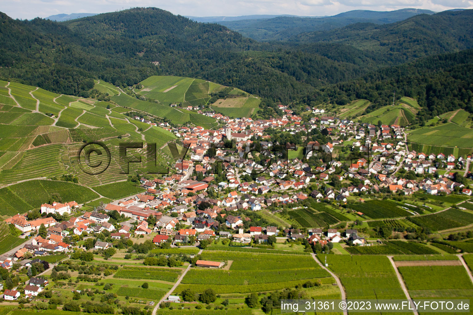 Luftbild von Von Westen im Ortsteil Neuweier in Baden-Baden im Bundesland Baden-Württemberg, Deutschland