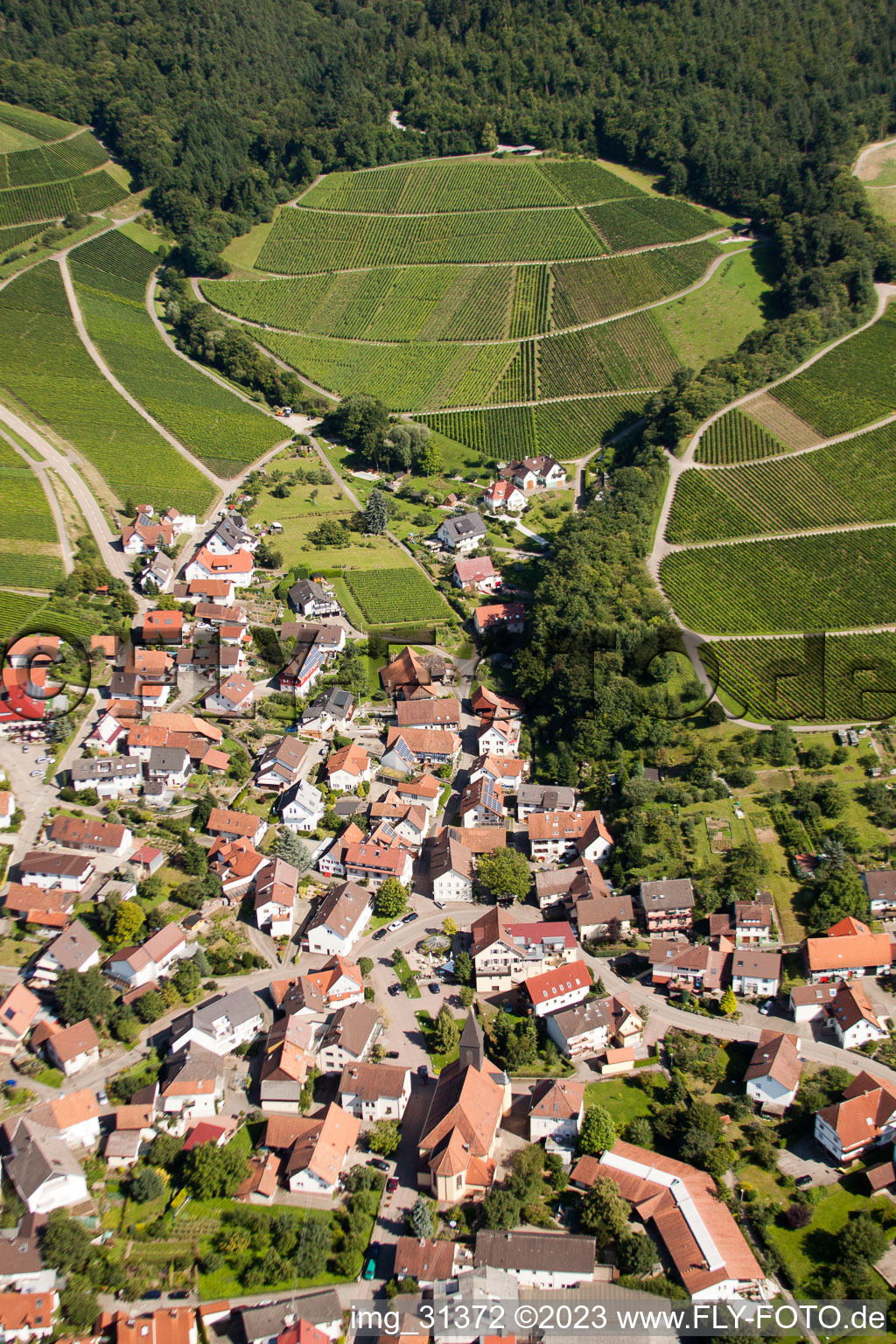 Dorf - Ansicht am Rande von Weinbergen und Waldflächen im Ortsteil Eisental in Bühl im Bundesland Baden-Württemberg, Deutschland