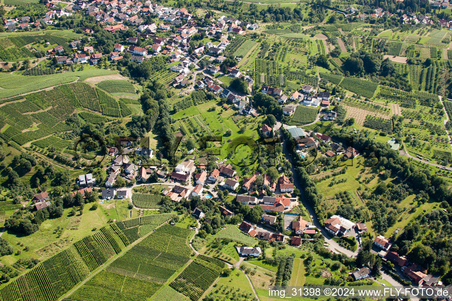 Ortsansicht der Straßen und Häuser der Wohngebiete in Bühl im Ortsteil Riegel im Bundesland Baden-Württemberg, Deutschland