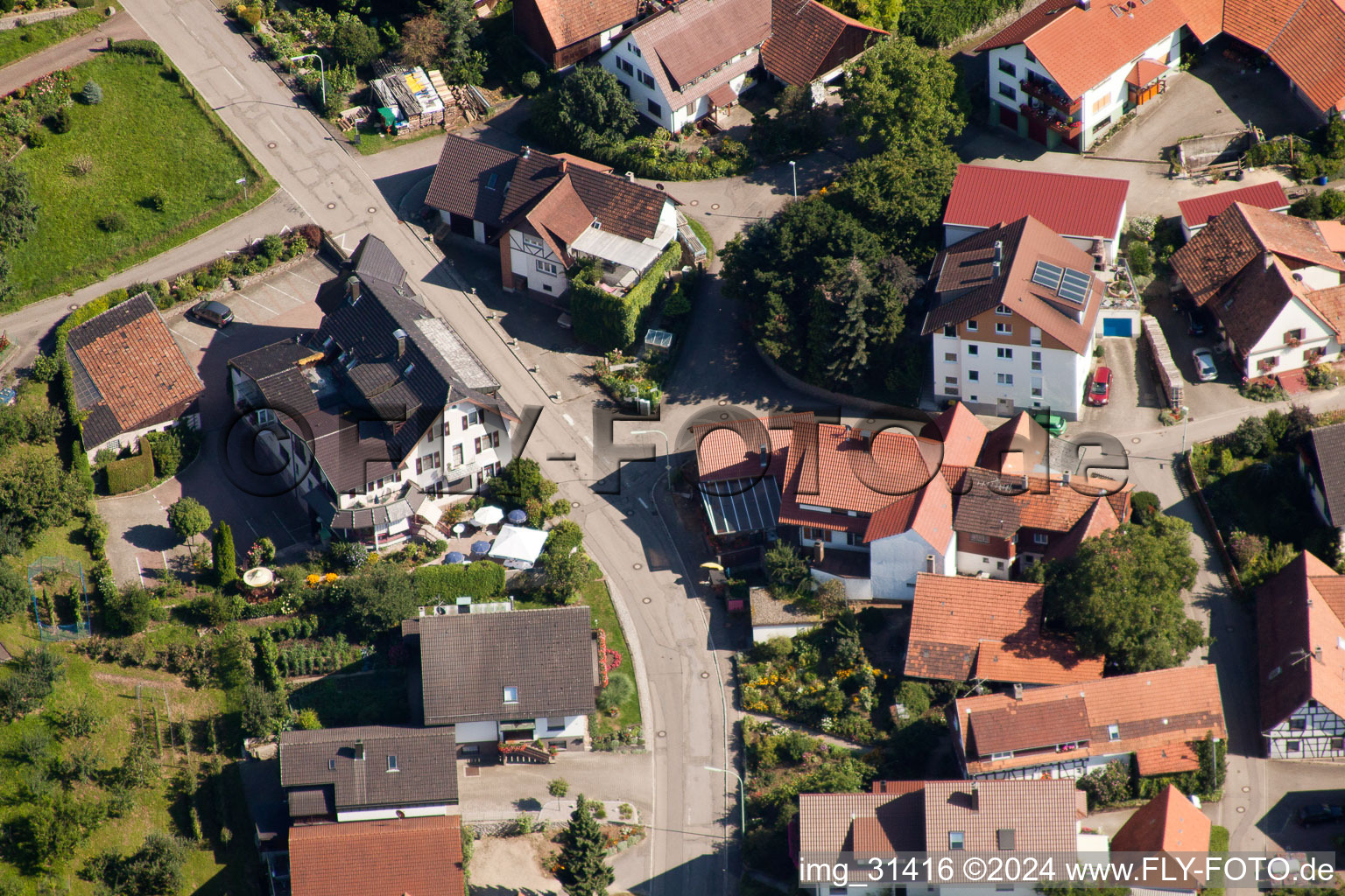 Bühl-Kappelwindeck, Rebstock im Ortsteil Riegel im Bundesland Baden-Württemberg, Deutschland