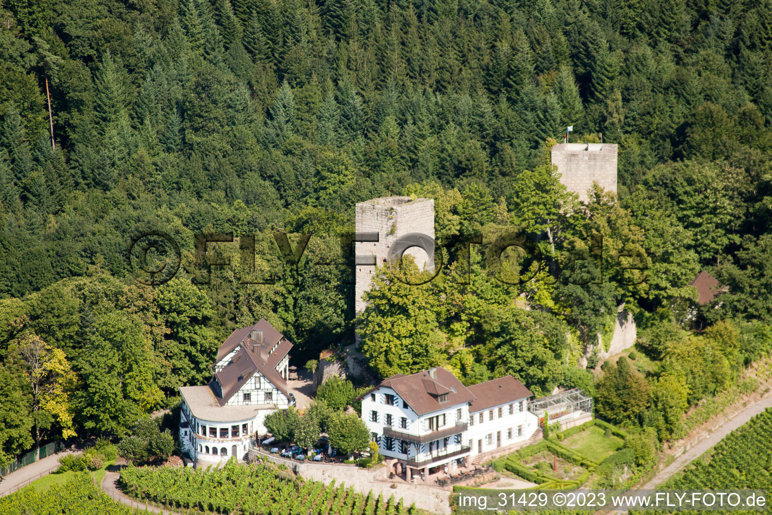 Luftbild von Bühl, Burg Windeck im Ortsteil Riegel im Bundesland Baden-Württemberg, Deutschland