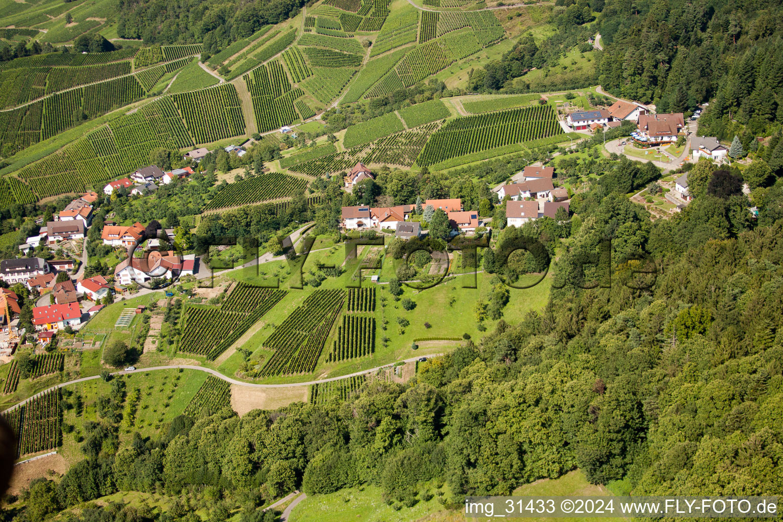 Bergfriedenweg im Ortsteil Riegel in Bühl im Bundesland Baden-Württemberg, Deutschland