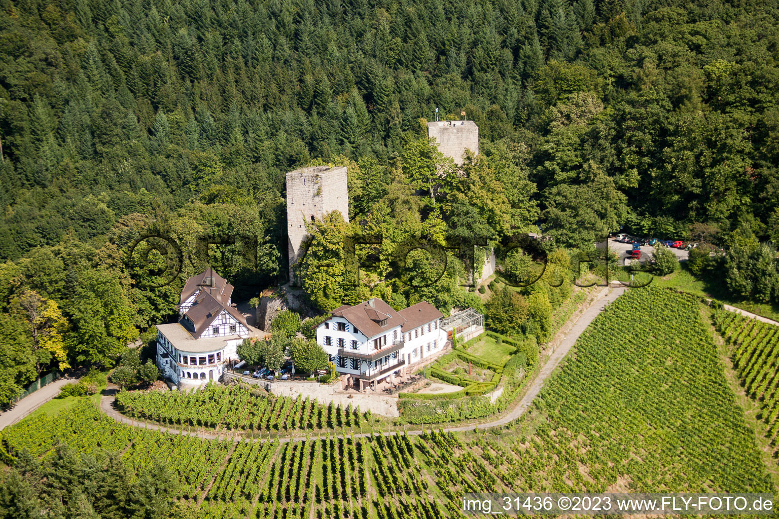 Luftaufnahme von Bühl, Burg Windeck im Ortsteil Riegel im Bundesland Baden-Württemberg, Deutschland