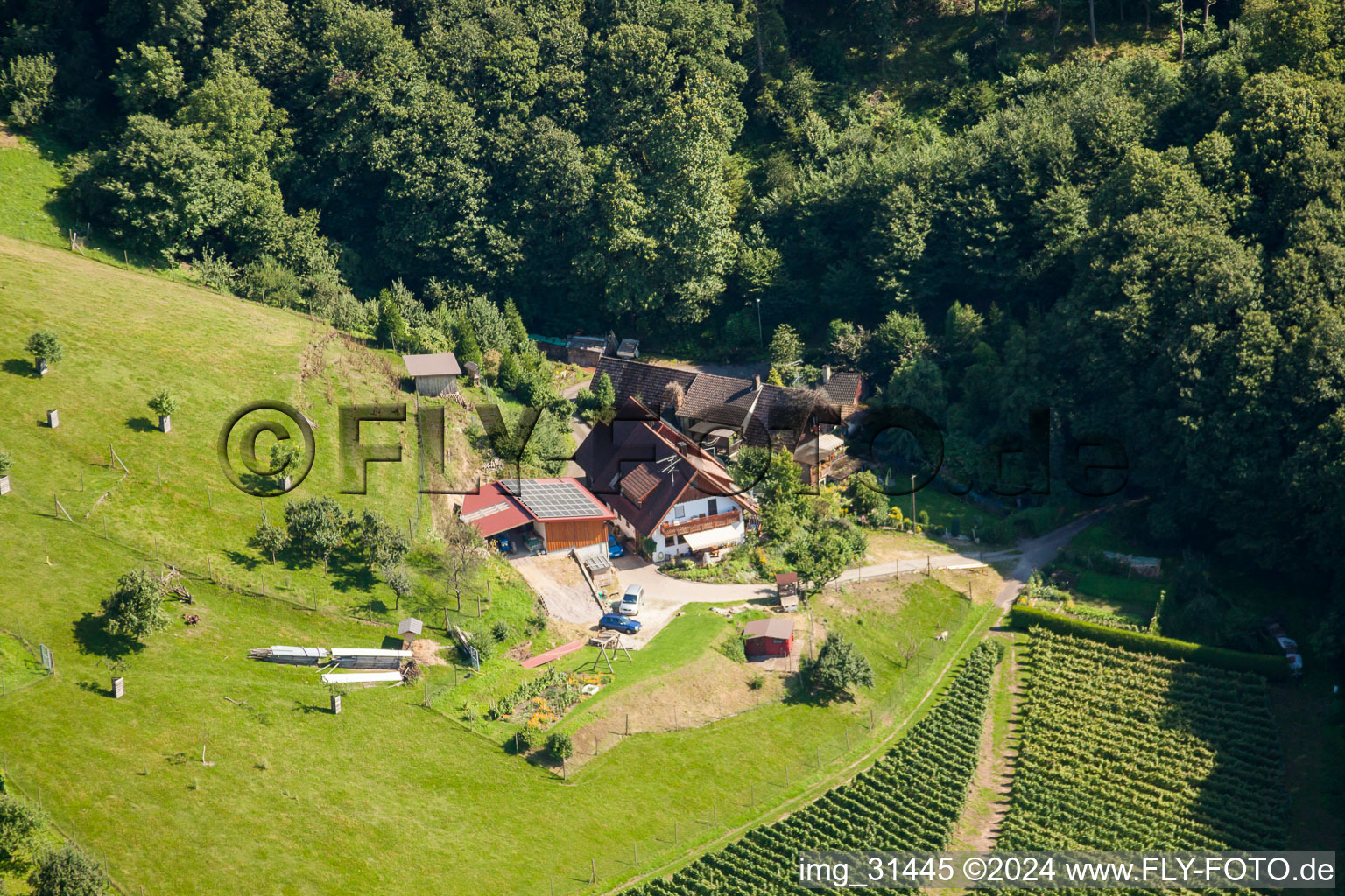 Bühl-Kappelwindeck im Ortsteil Riegel im Bundesland Baden-Württemberg, Deutschland von oben