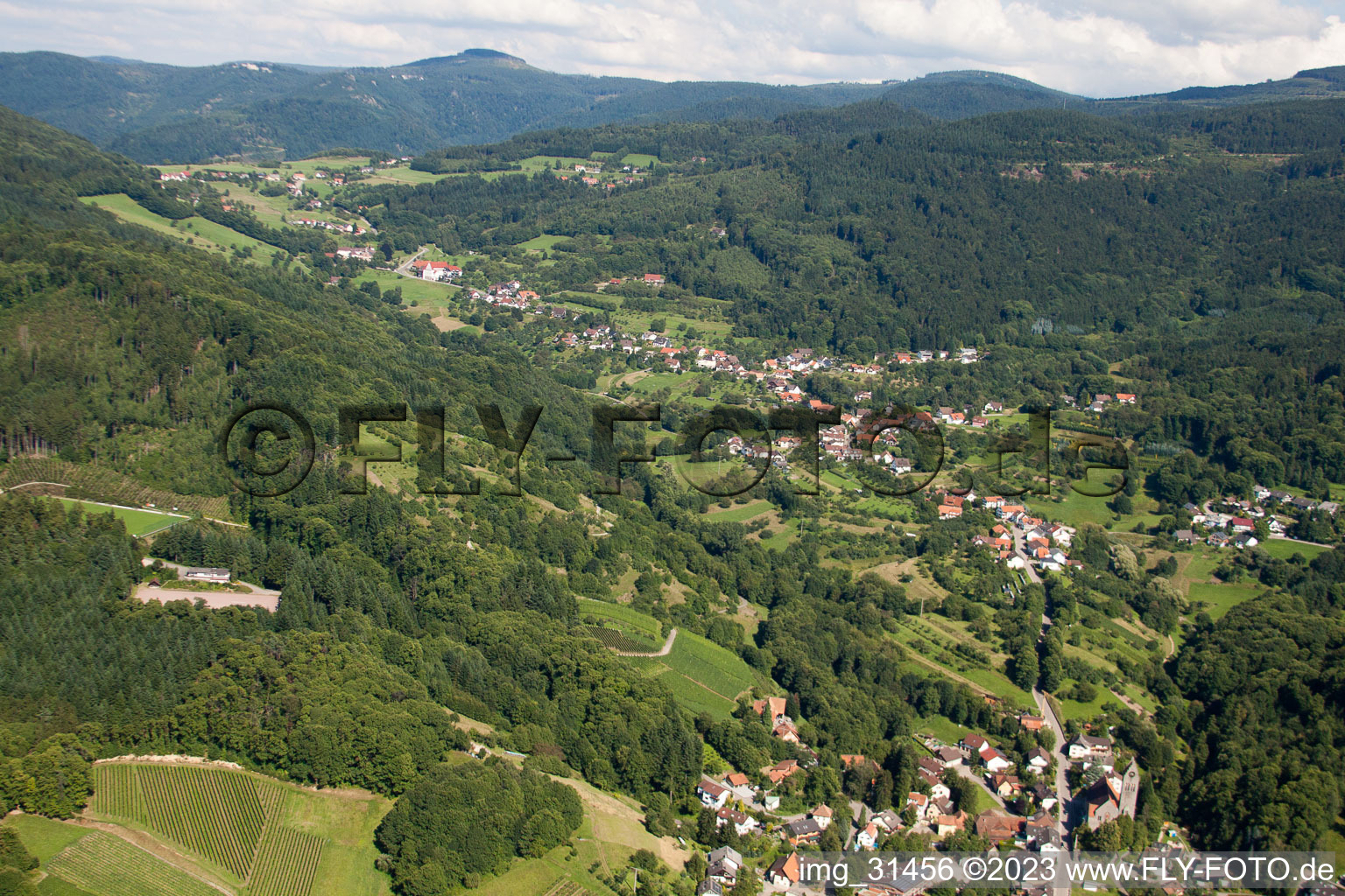 Luftbild von Bühl-Neusatzeck im Bundesland Baden-Württemberg, Deutschland