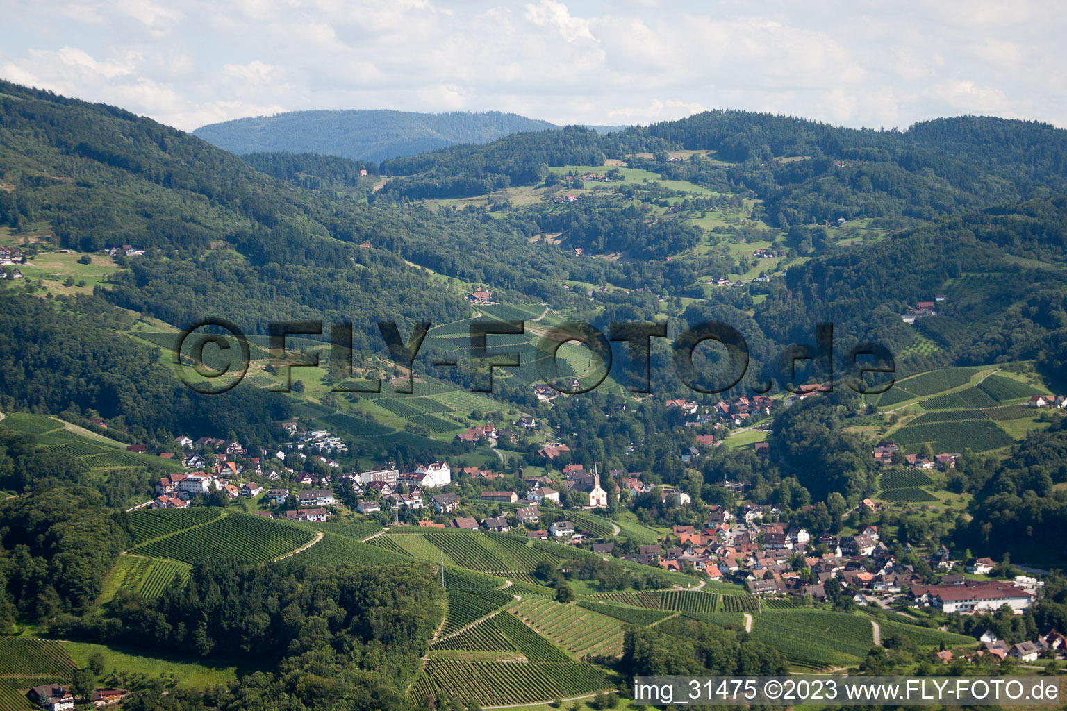 Luftbild von Sasbach im Bundesland Baden-Württemberg, Deutschland