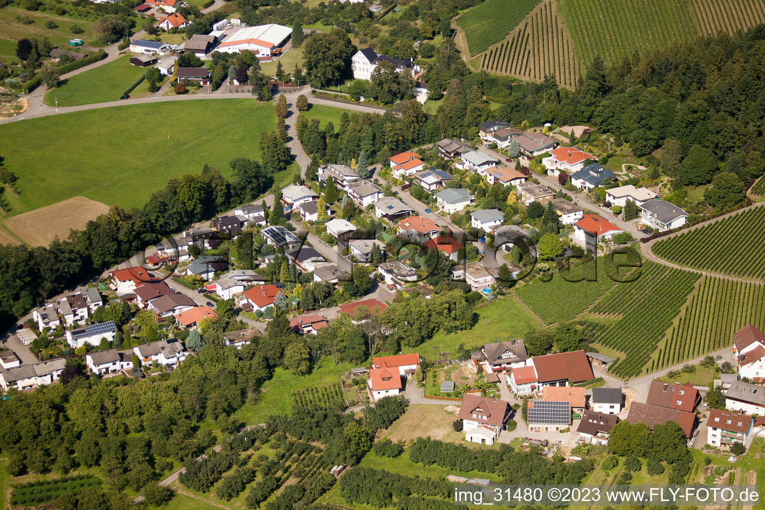 Luftbild von Sasbach-Kammersbrunn, Sportplatz im Bundesland Baden-Württemberg, Deutschland