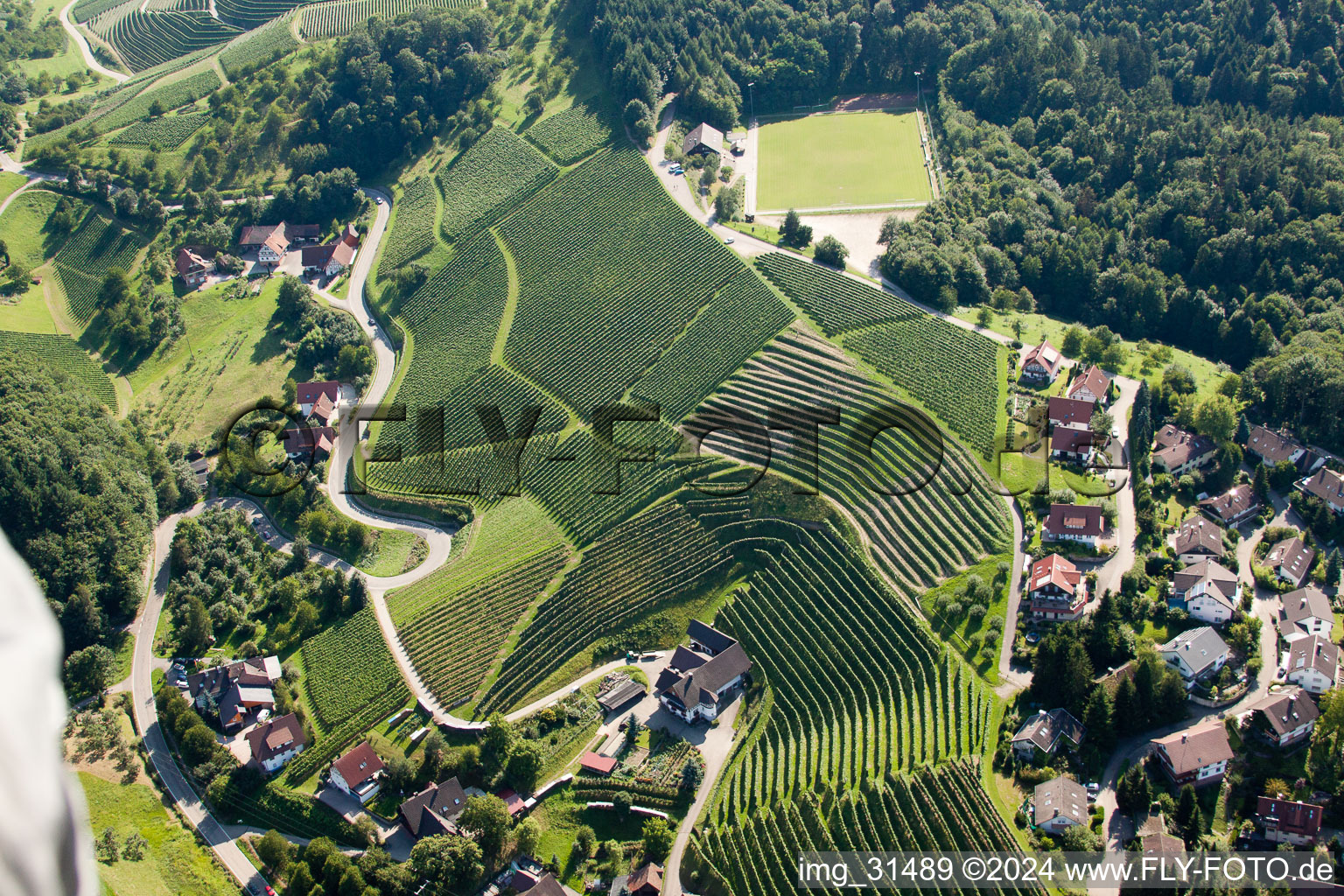 Luftbild von Weinberge bei Bernhardshöfe in Kappelrodeck im Bundesland Baden-Württemberg, Deutschland