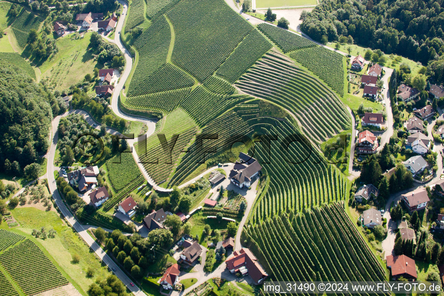 Luftaufnahme von Weinberge bei Bernhardshöfe in Kappelrodeck im Bundesland Baden-Württemberg, Deutschland