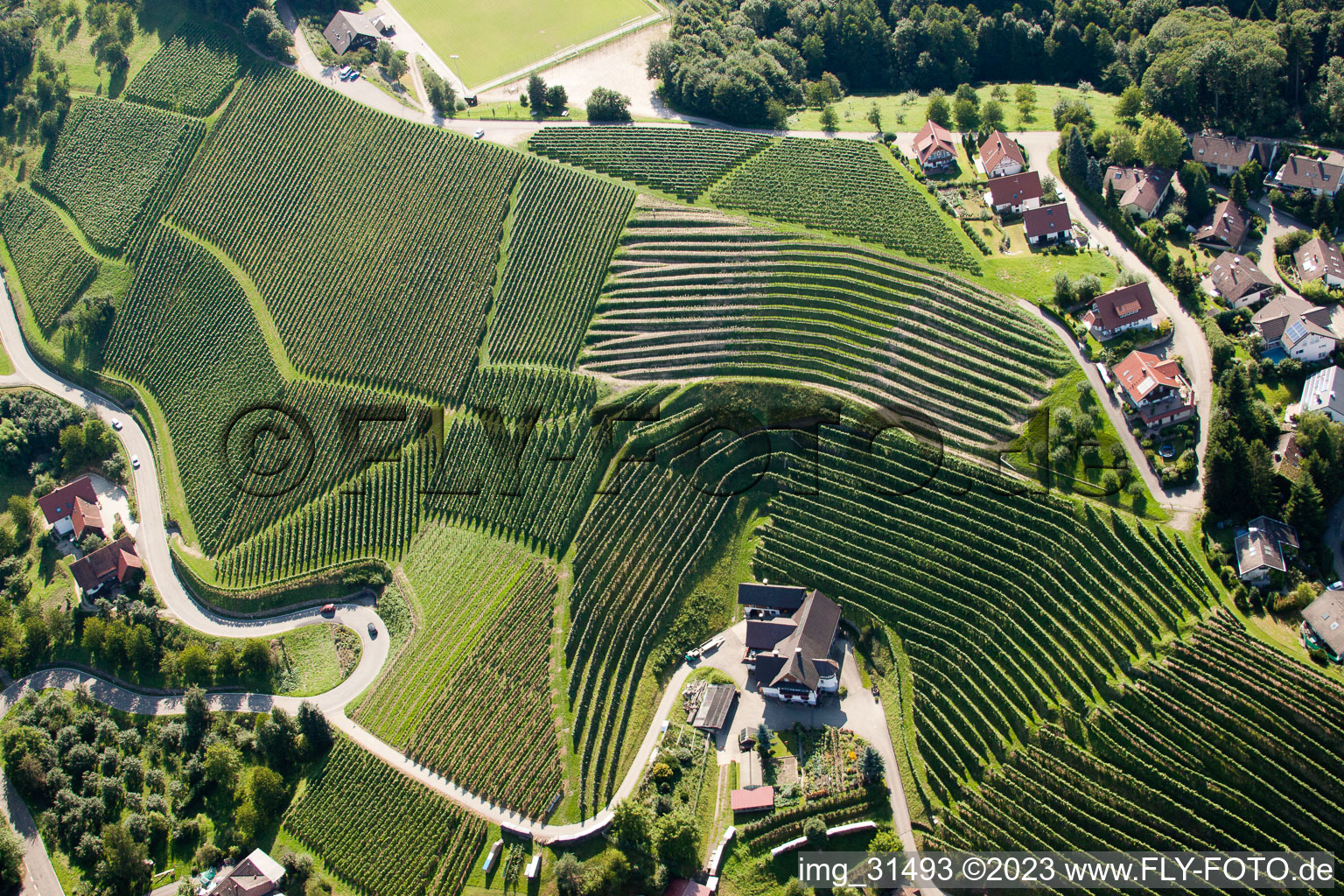 Luftbild von Kappelrodeck, Weinberge bei  Bernhardshöfe im Bundesland Baden-Württemberg, Deutschland