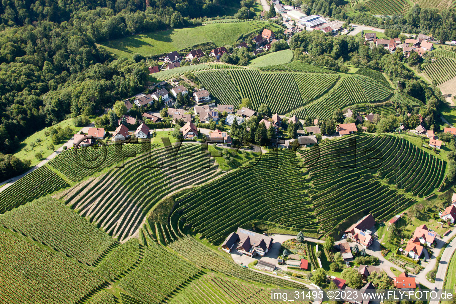 Luftaufnahme von Kappelrodeck, Weinberge bei  Bernhardshöfe im Bundesland Baden-Württemberg, Deutschland