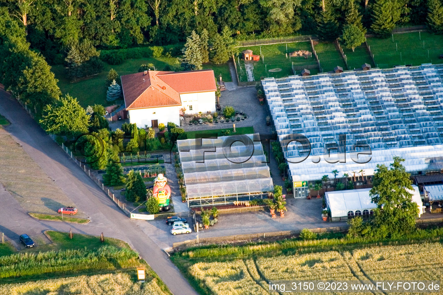 Luftbild von Kakteenland in Steinfeld im Bundesland Rheinland-Pfalz, Deutschland