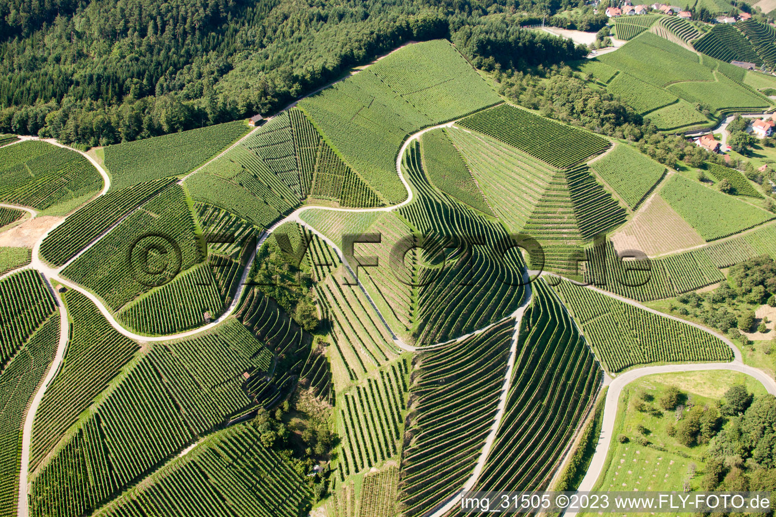 Kappelrodeck, Weinberge bei  Bernhardshöfe im Bundesland Baden-Württemberg, Deutschland aus der Luft betrachtet