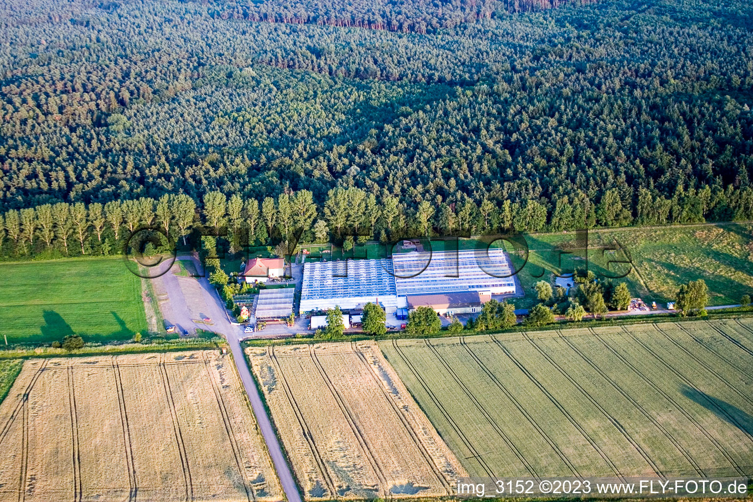 Schrägluftbild von Kakteenland in Steinfeld im Bundesland Rheinland-Pfalz, Deutschland