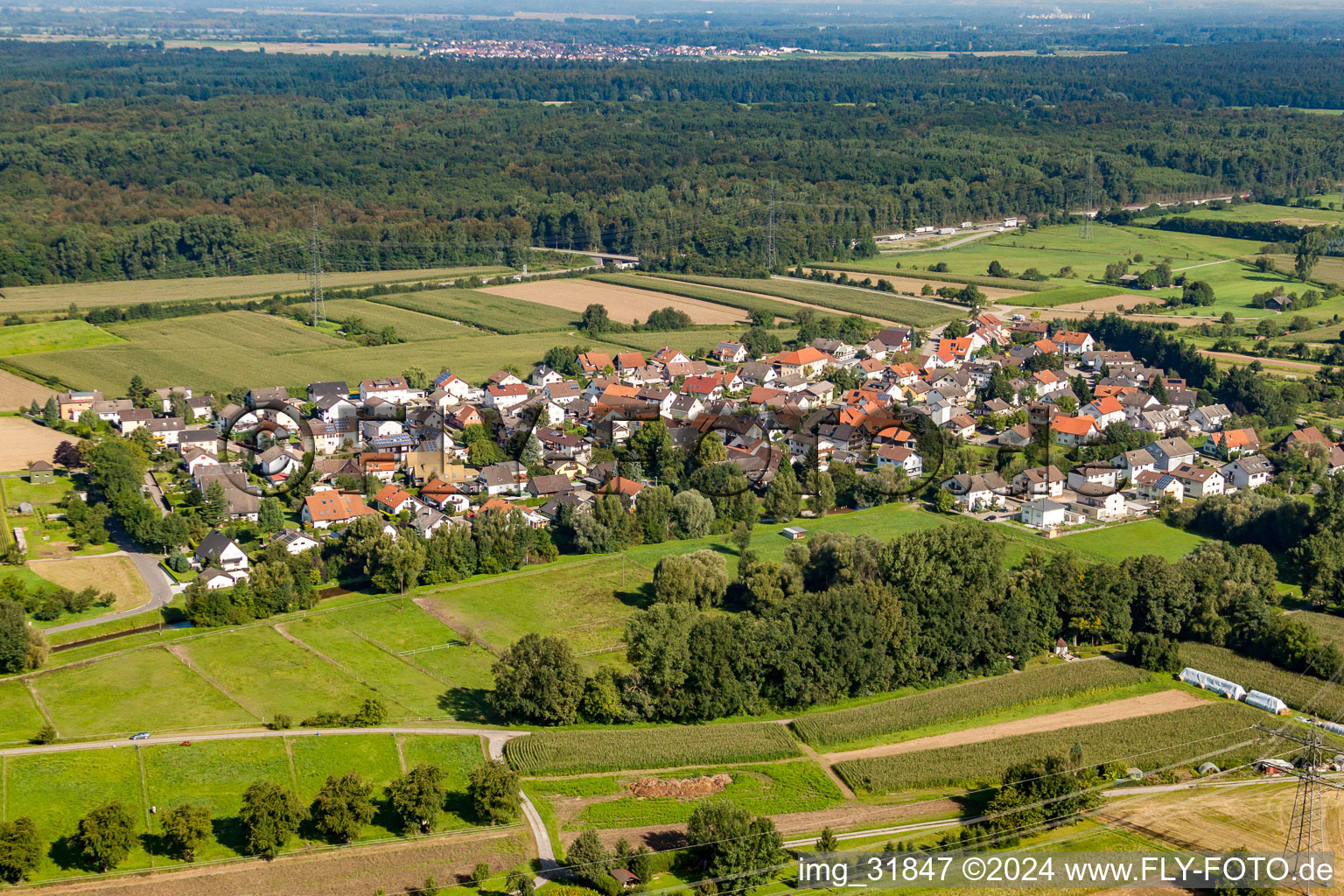 Dorf - Ansicht am Rande von landwirtschaftlichen Feldern und Nutzflächen in Halberstung in Sinzheim im Bundesland Baden-Württemberg, Deutschland
