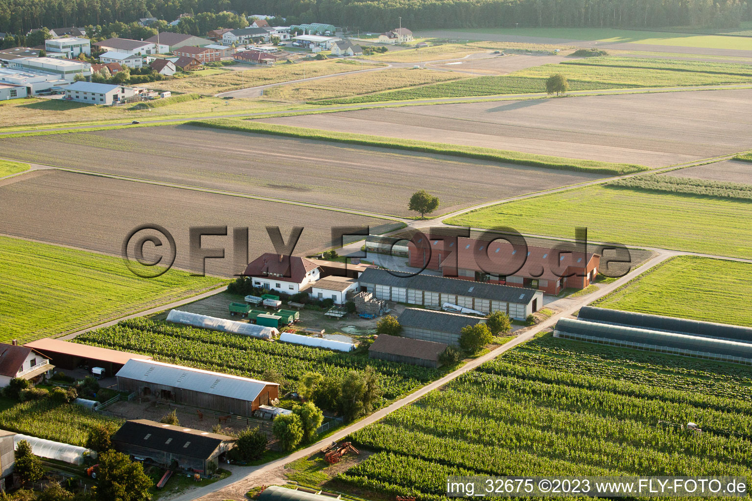 Hatzenbühl. Aussiedlerhöfe im Bundesland Rheinland-Pfalz, Deutschland aus der Luft betrachtet