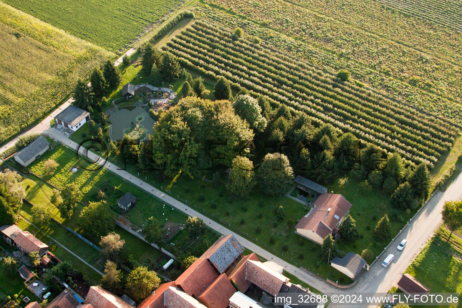 Luftbild von Erlenbach bei Kandel im Bundesland Rheinland-Pfalz, Deutschland