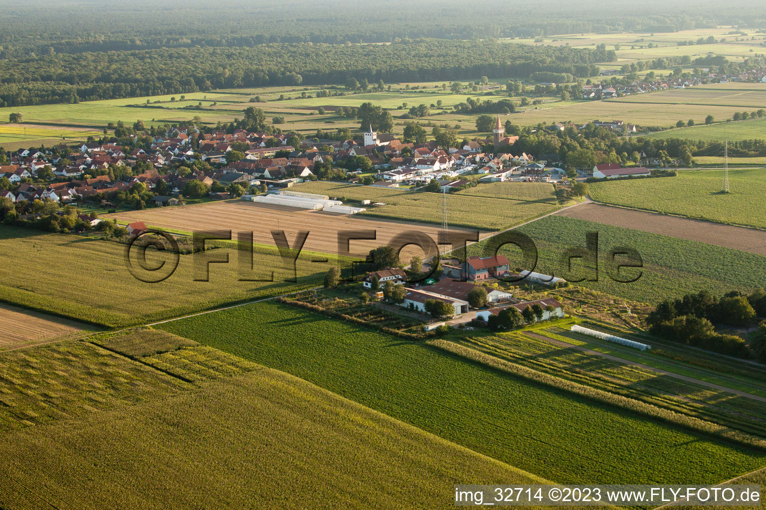 Drohnenaufname von Minfeld, Schoßberghof im Bundesland Rheinland-Pfalz, Deutschland